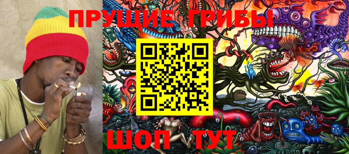 сколько стоит  Вход с VPN  Орехово-Зуево  Псилоцибиновые грибы мухоморы 