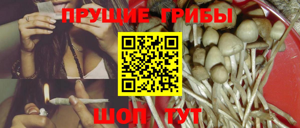 Галлюциногенные грибы Psilocybine cubensis Орехово-Зуево